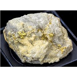 Grass Valley Gold-in-Quartz specimen 2b