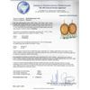 Image 3 : Cameo, Blue Topaz and Diamond Earrings - 14KT Yellow Gold