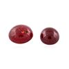 Image 1 : 11.36ctw. Cabochon Cut Ruby Parcel