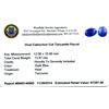 Image 2 : 13.97ctw. Oval Cabochon Cut Tanzanite Parcel