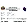 Image 2 : 7.01ctw Pear Ruby Parcel