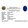 Image 2 : 10.54ctw Cabochon Tanzanite Parcel