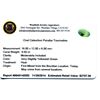 Image 2 : 9.5ctw. Oval Cut Paraiba Tourmaline