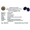 Image 2 : 12.54ctw Oval Cut Sapphire Parcel