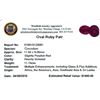 Image 2 : 11.74ctw Oval Mixed Ruby Parcel