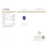 Image 4 : 14KT White Gold GIA Certified 16.01ct Tanzanite and Diamond Pendant With Chain