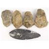 Image 2 : Collection of 5 Fossils