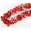 Image 2 : Deep Red Apple Coral Necklace
