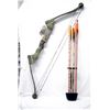 Image 1 : Browning 50 Pound Compound Bow and Arrows