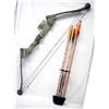 Image 2 : Browning 50 Pound Compound Bow and Arrows