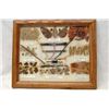 Image 1 : Framed Native American Navajo Textile Dye Chart