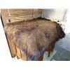 Image 1 : Buffalo Hide