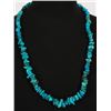 Image 1 : Turquoise Necklace