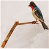Image 2 : 1920s Folk Art Carved Bird