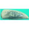 Image 1 : SCRIMSHAW WHALES TOOTH - Masted ship, reverse signed K. Powers.  L-4 1/2", VG.  Est. 50-100...