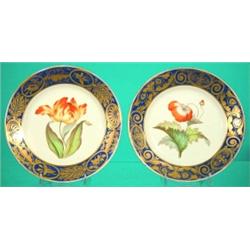 PAIR OF CROWN DERBY PLATES -Painted porcelain "Poppy" & "Tulip," Cobalt border with gilt decorati...