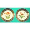 Image 1 : PAIR OF CROWN DERBY PLATES -Painted porcelain "Poppy" & "Tulip," Cobalt border with gilt decorati...