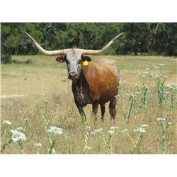 RM DESPERATE LEAH 574