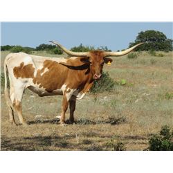 YO Flying Princess 4746