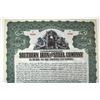 Image 2 : Southern Iron & Steel Co. 1910.