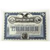Image 1 : Buffalo & Lake Erie Traction Co. 1907  Stock Certificate.