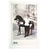 Image 1 : Child with Large Toy (or real) Horse, ca.1880-90.
