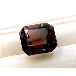 9.27 ct  Natural Bi-color Tourmaline