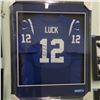 Image 1 : SIGNED ANDREW LUCK JERSEY (GLASS/FRAMED)