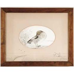 CHARLES SHANG WHEELER (American, 1872-1949) PREENING DUCK AND DUCK HUNTING.