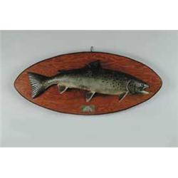 SALMON ATTR. LAWRENCE IRVINE.