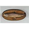 Image 1 : MOUNTED BROWN TROUT.