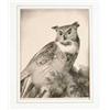Image 1 : STOW WENGENROTH (American, 1906-1978) "GREAT HORNED OWL".