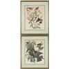 Image 1 : PAIR OF AUDUBON BIRD PRINTS.