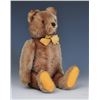 Image 2 : Steiff Teddy Bear