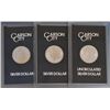 Image 1 : 1883 Carson City Silver Morgan Dollars(3)