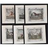 Image 1 : Set of Six Horse Mezzotints