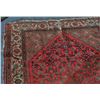 Image 3 : Malayer Carpet