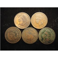 5 ASSORTED 1900'S INDIAN HEAD CENTS