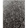 Image 1 : ARTHUR SIEGEL, (American, 1913-1978), RIGHT OF ASSEMBLY, signed, initialed, dated and inscribed "...