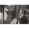 Image 1 : GARRY WINOGRAND, (American, 1928-1984), UNTITLED (FROM THE ANIMALS), each signed in pencil on ver...