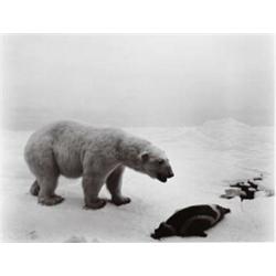 HIROSHI SUGIMOTO, (Japanese, b. 1948), STILL LIFE, POLAR BEAR, signed, dated and editioned "HIROS...