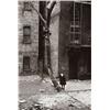 Image 1 : HELEN LEVITT, (American, b. 1918), NEW YORK, signed "Helen Levitt, N.Y." in pencil on verso, gela...