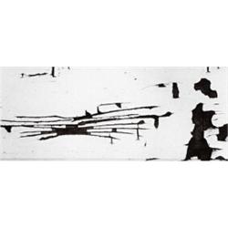 AARON SISKIND, (American, 1903-1991), CHICAGO, titled, dated and signed "Chicago 1949 / Aaron Sis...