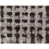 Image 1 : AARON SISKIND, (American, 1903-1991), CHICAGO 42, inscribed "Chicago 42 1952/ Aaron Siskind" in i...