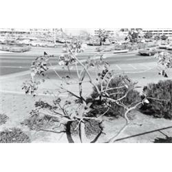 HENRY J. WESSEL, JR., (American, b. 1942), UNTITLED, "1972" inscribed in pencil below image recto...