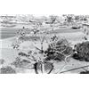 Image 1 : HENRY J. WESSEL, JR., (American, b. 1942), UNTITLED, "1972" inscribed in pencil below image recto...