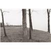 Image 1 : ROGER MERTIN, (American, b. 1942), THREE LANDSCAPES, each titled, dated and signed in pencil on v...