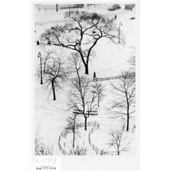 ANDR+ KERT+SZ, (American, b. Austria-Hungary, 1894-1985), WASHINGTON SQUARE, NEW YORK (NO. 17), s...