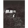 Image 1 : WOLF VON DEM BUSSCHE, (American, b. Germany, 1934), TWO IMAGES:, CENTRAL PARK, NEW YORK & CAT, ea...