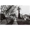 Image 1 : LEE FRIEDLANDER, (American, b. 1934), HOLLYWOOD, CALIFORNIA, signed copyright stamp on verso, gel...